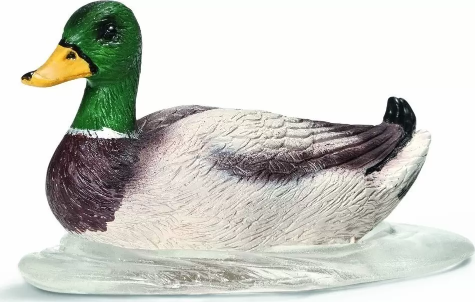 Farm World - Canard nageant
