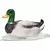 Canard nageant