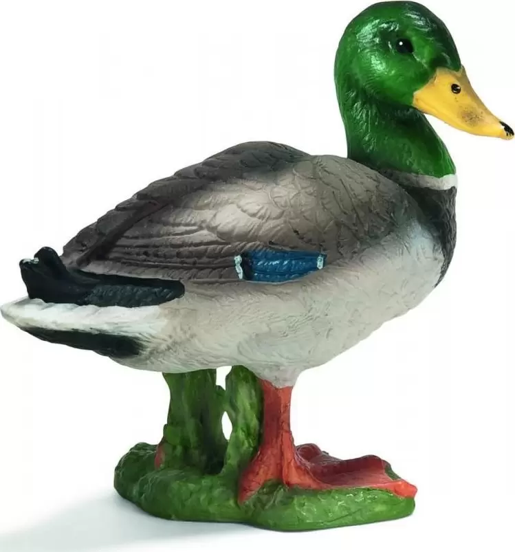 Farm World - Canard