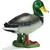 Canard