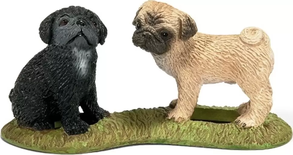 Farm World - Carlin chiots