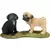 Farm World - Carlin chiots