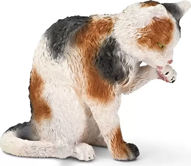 Farm World - Chatte faisant sa toilette