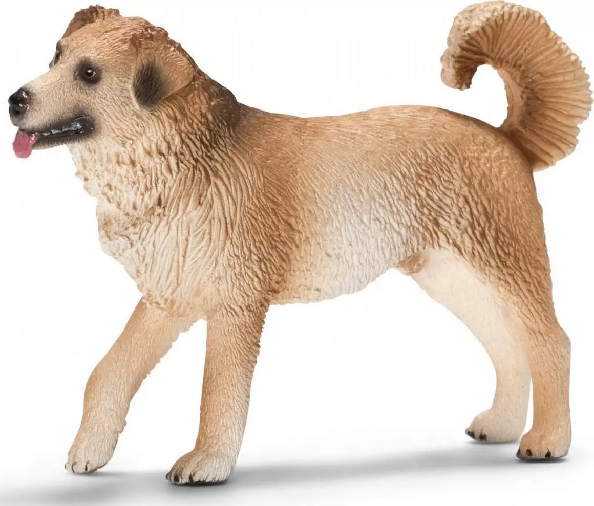 Farm World - Chien de race croisée