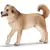 Chien de race croisée