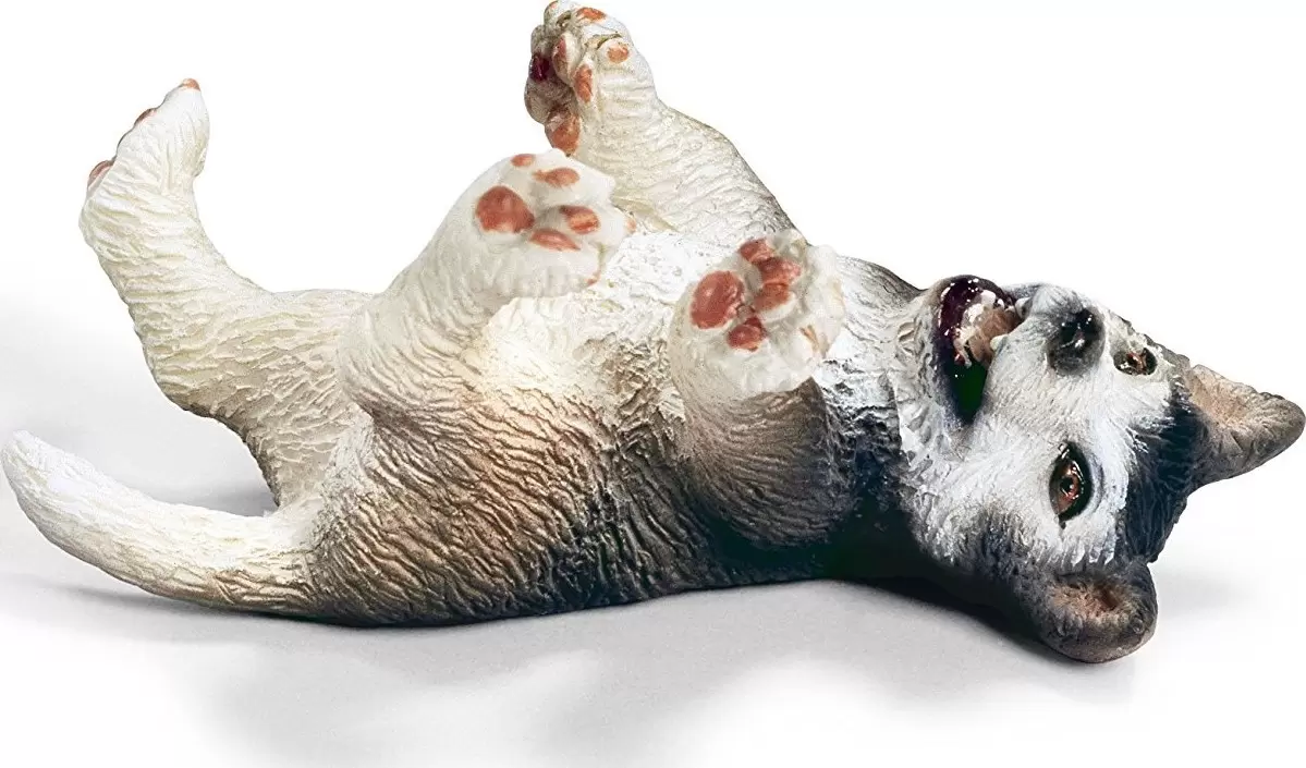 Farm World - Chiot Husky couché