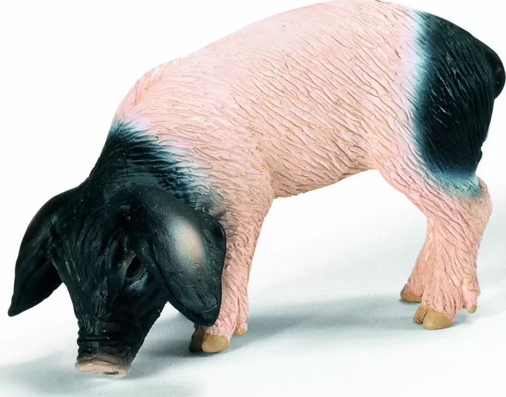 Farm World - Cochonnet de Souabe mangeant