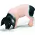 Farm World - Cochonnet de Souabe mangeant