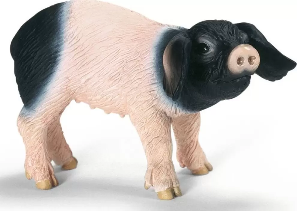 Farm World - Cochonnet de Souabe