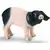 Cochonnet de Souabe