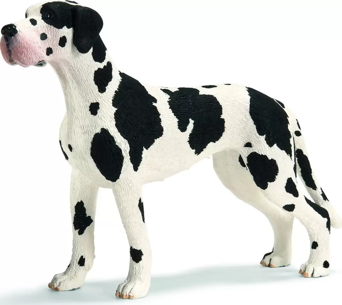 Farm World - Dogue allemand femelle