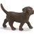 Labrador chiot