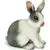 Lapin assis
