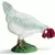 Farm World - Poule qui picore