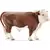Taureau Hereford
