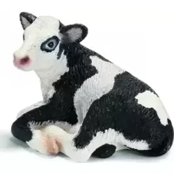 Veau Holstein couché