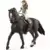 Horse Club - Horse club Lisa & Storm