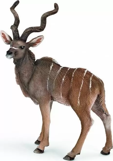 Wild Life - Antilope Koudou
