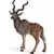Antilope Koudou
