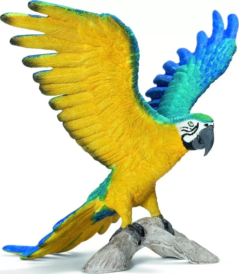 Wild Life - Ara à collier jaune