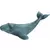 Baleine grise bébé