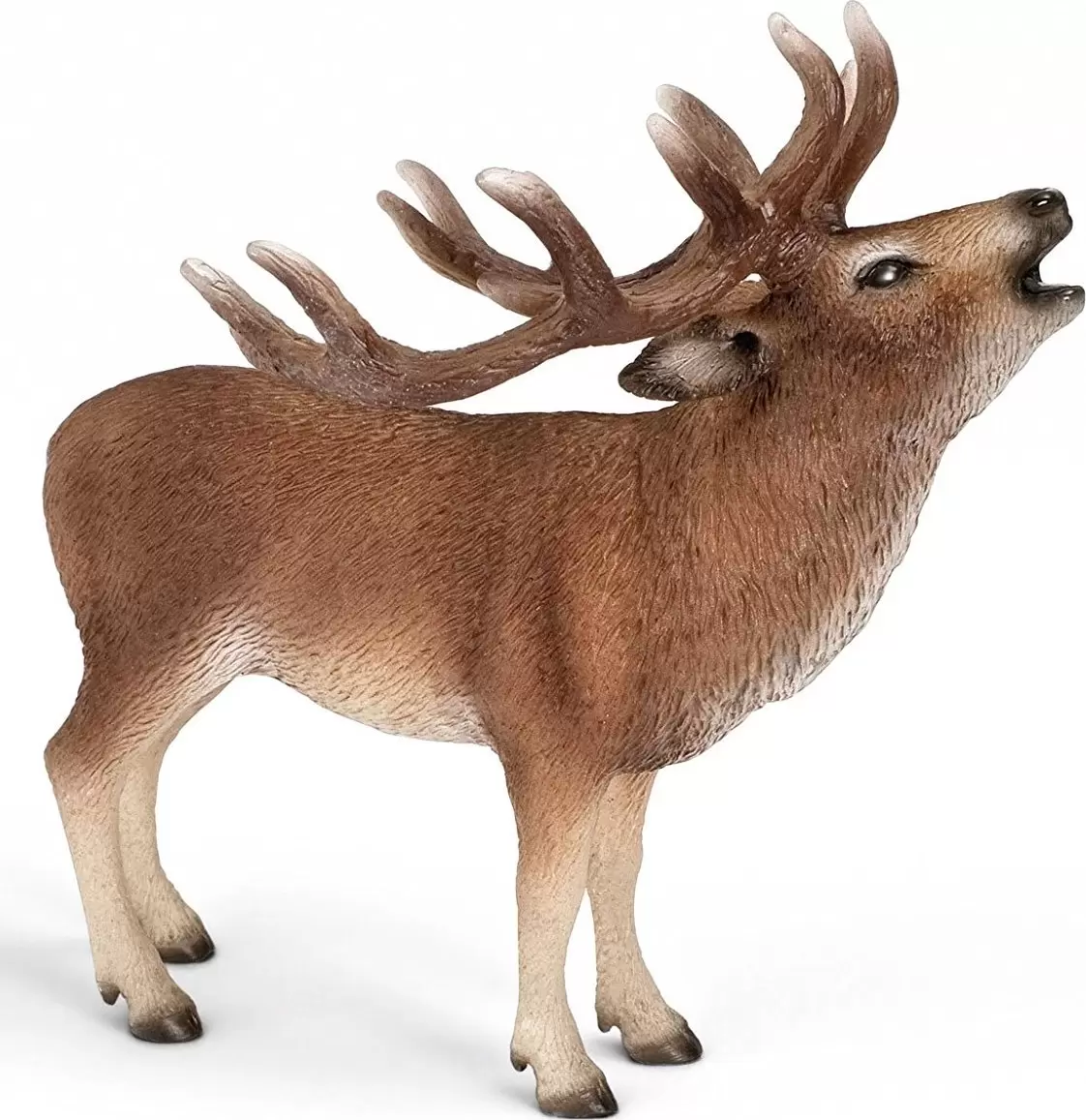 Wild Life - Cerf rouge