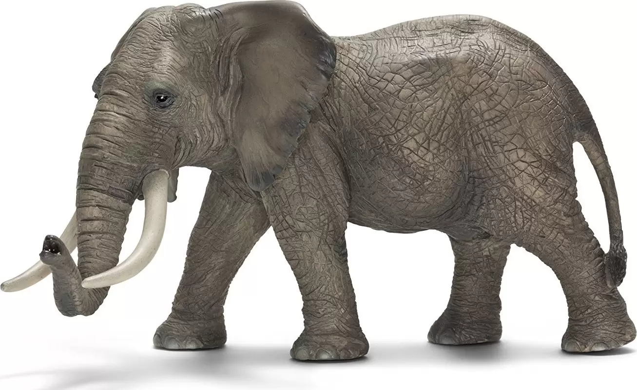 Wild Life - Eléphant d\'Afrique mâle