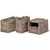 Wild Life - Ensemble de caisses de transport