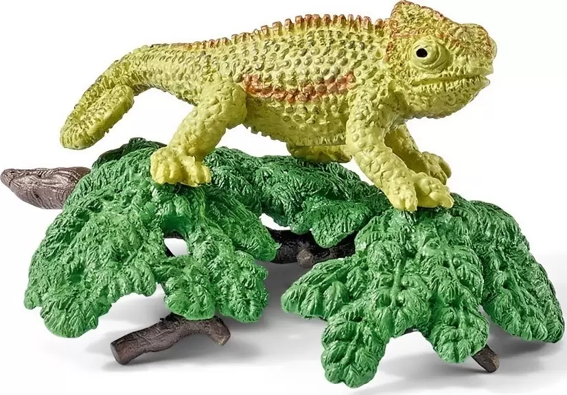 Wild Life - Kit caméléon