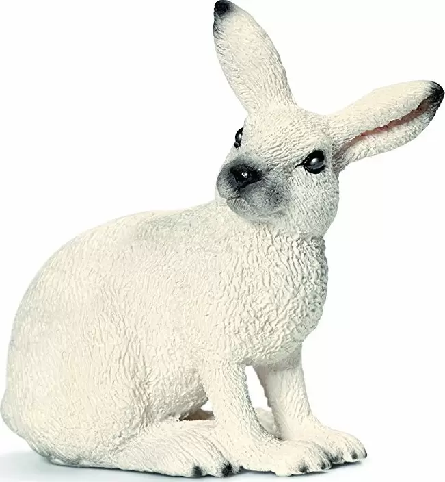 Wild Life - Lapin des neiges