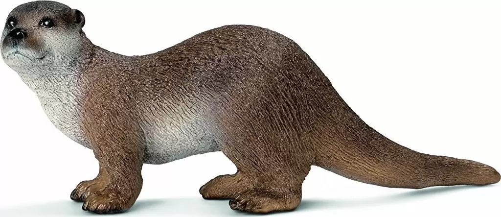 Wild Life - Loutre