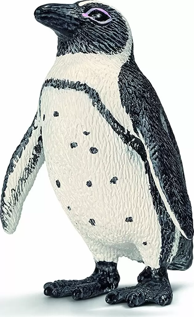 Wild Life - Manchot du Cap