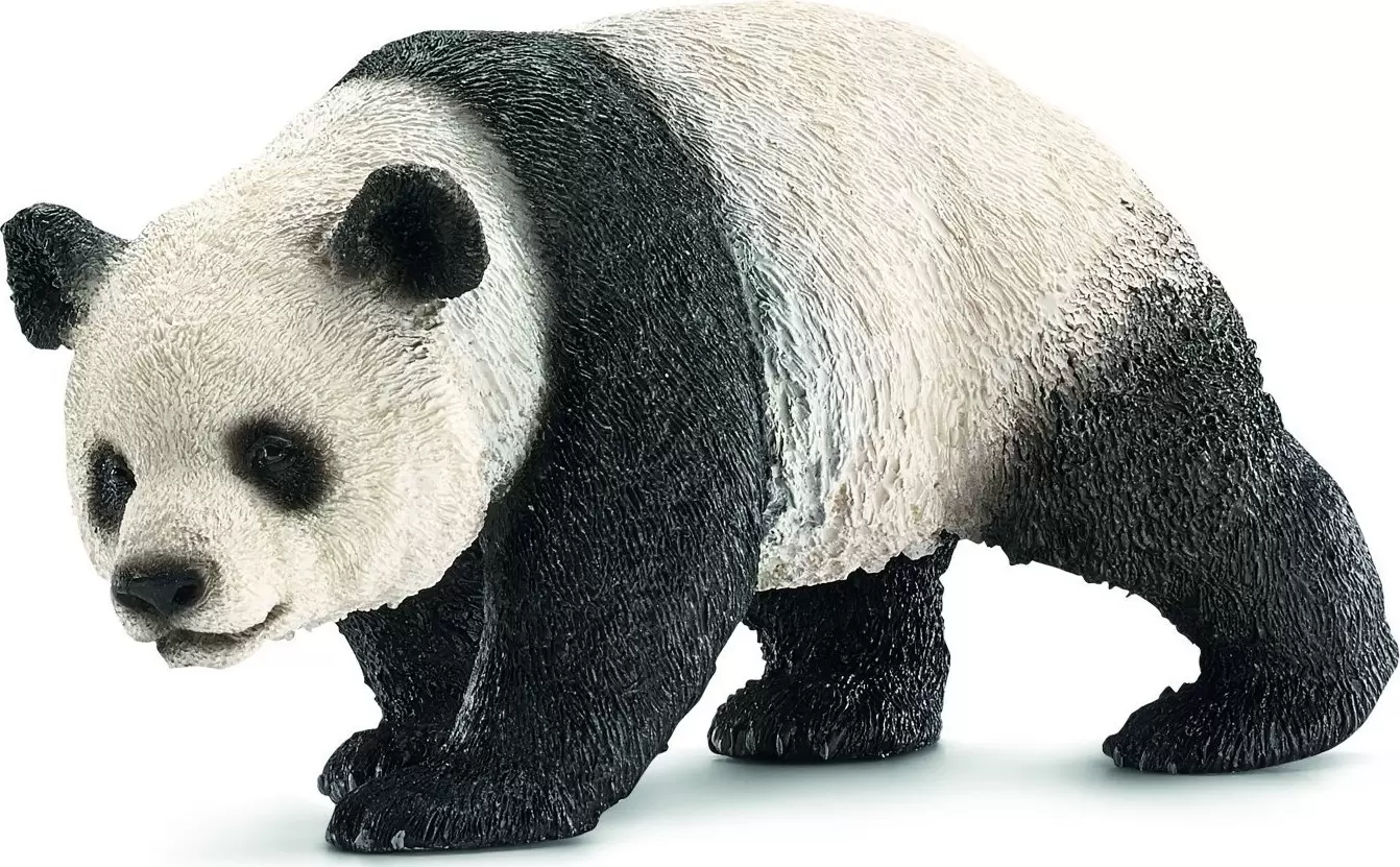 Wild Life - Panda géant femelle