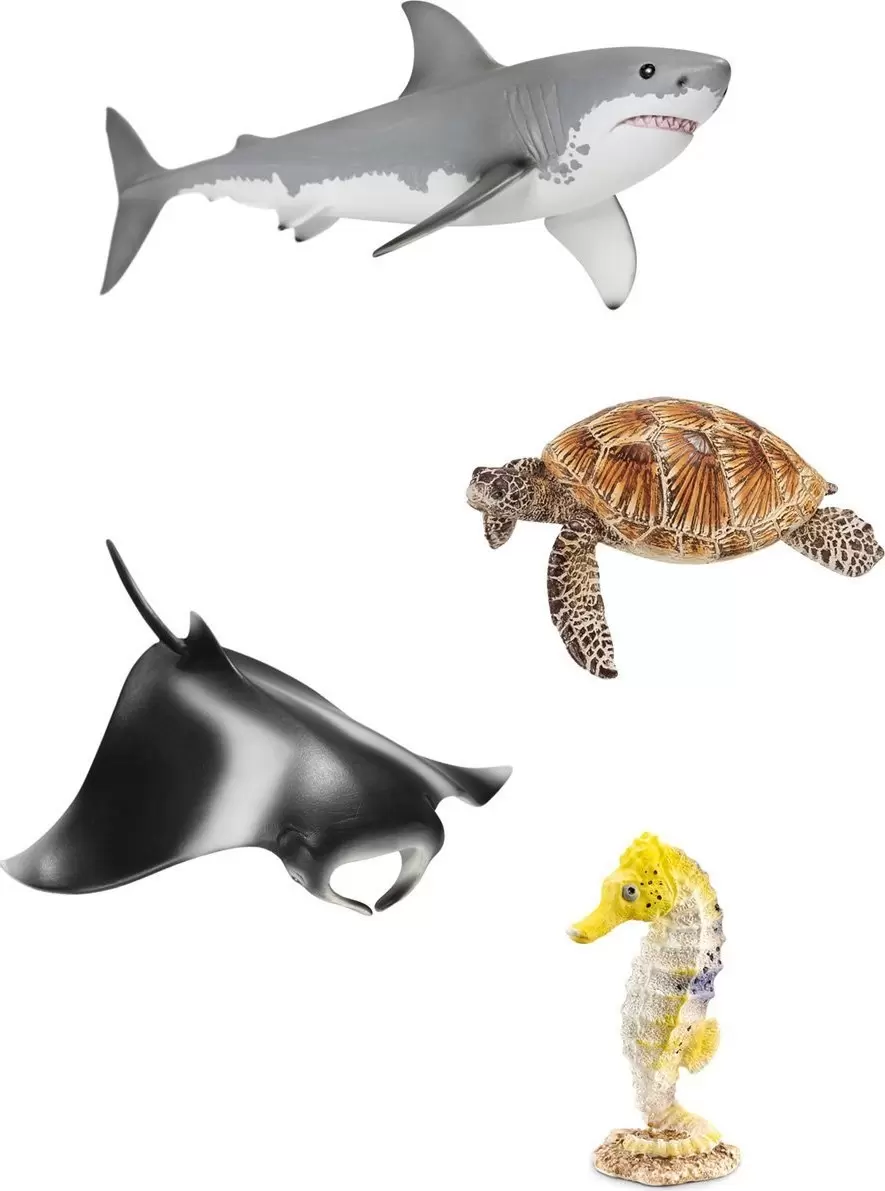Wild Life - Set Océan