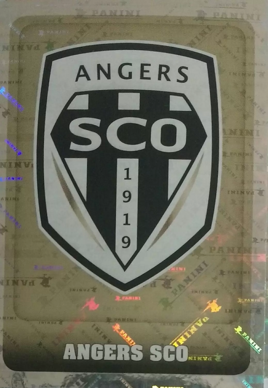 Championnat de France 2018-2019 - Écusson - Angers SCO