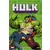 Hulk - L'intégrale 1993 (I)