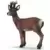 Wild Life - Chevreuil