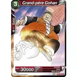 Grand-père Gohan