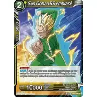 Son Gohan SS embrasé