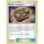 Fossile Inconnu