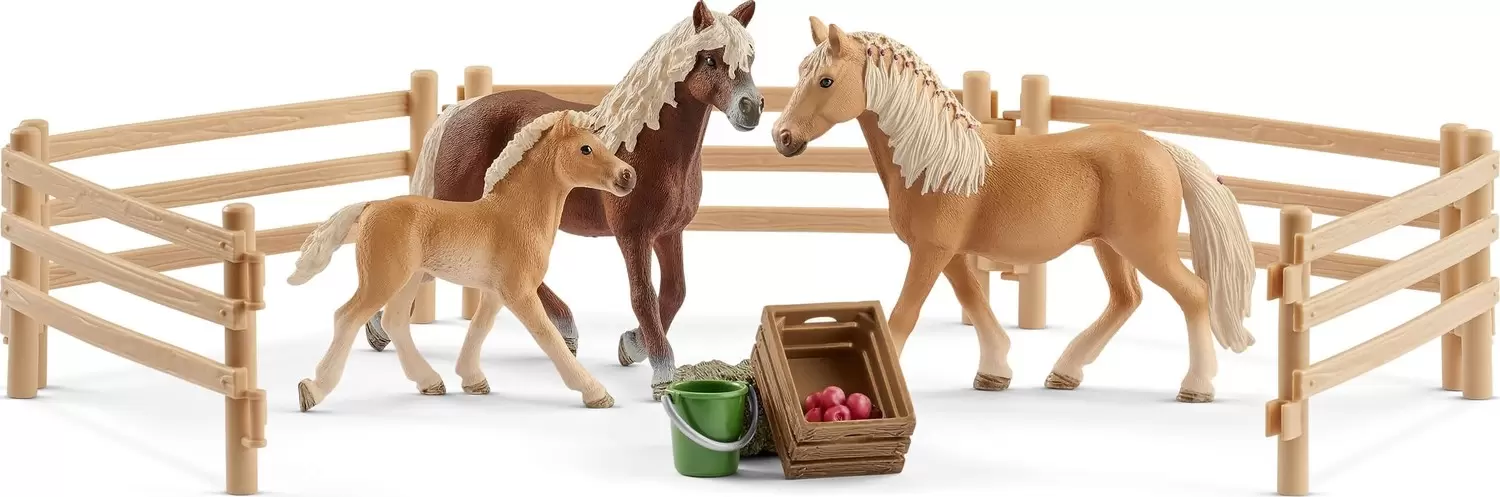 Horse Club - Famille Haflinger au pré