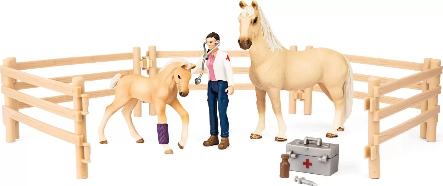 Horse Club - Kit de soins pour chevaux