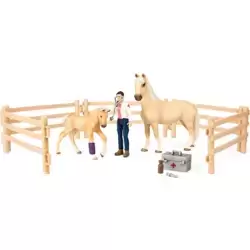 Kit de soins pour chevaux