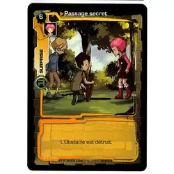 Passage secret