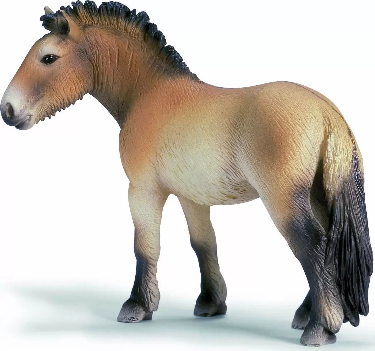 Horse Club - Cheval de Przewalski