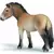 Horse Club - Cheval de Przewalski