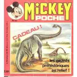 Mickey Poche N° 052