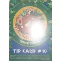 Tip card #18