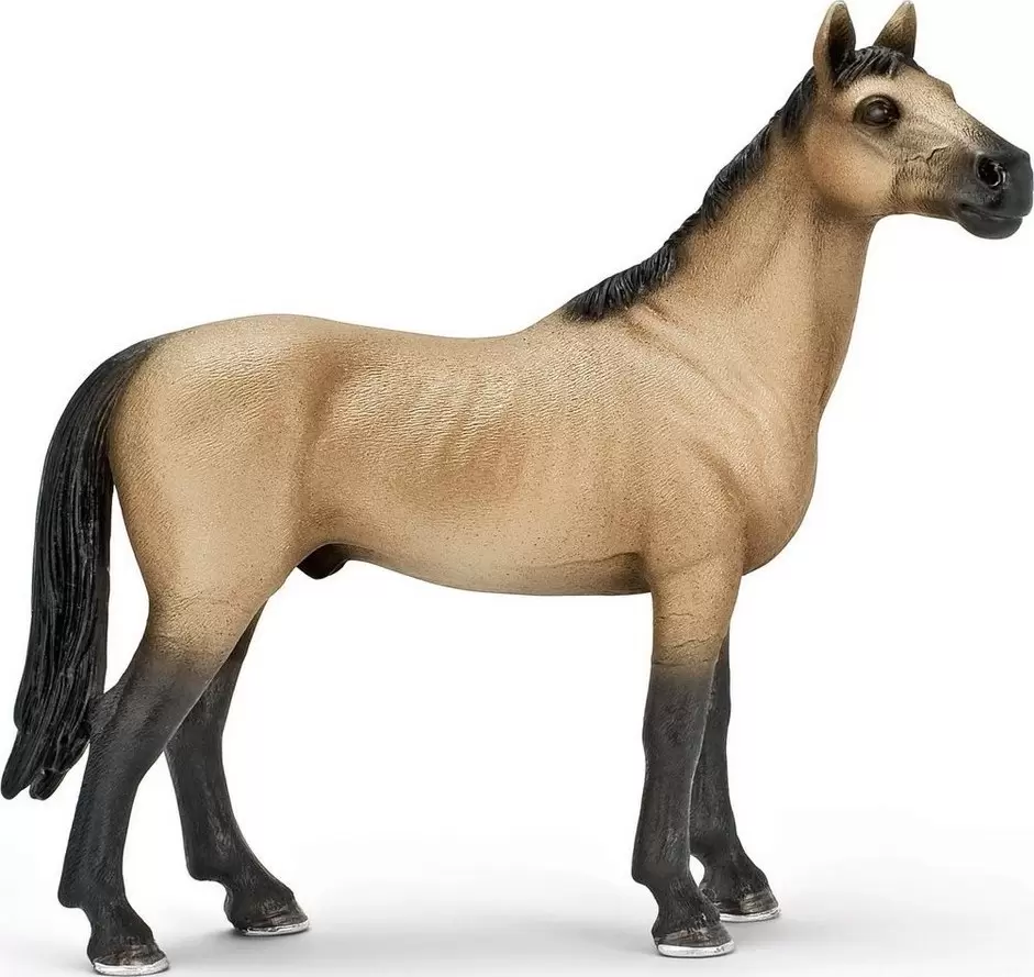 Horse Club - Etalon Akhal-Teke