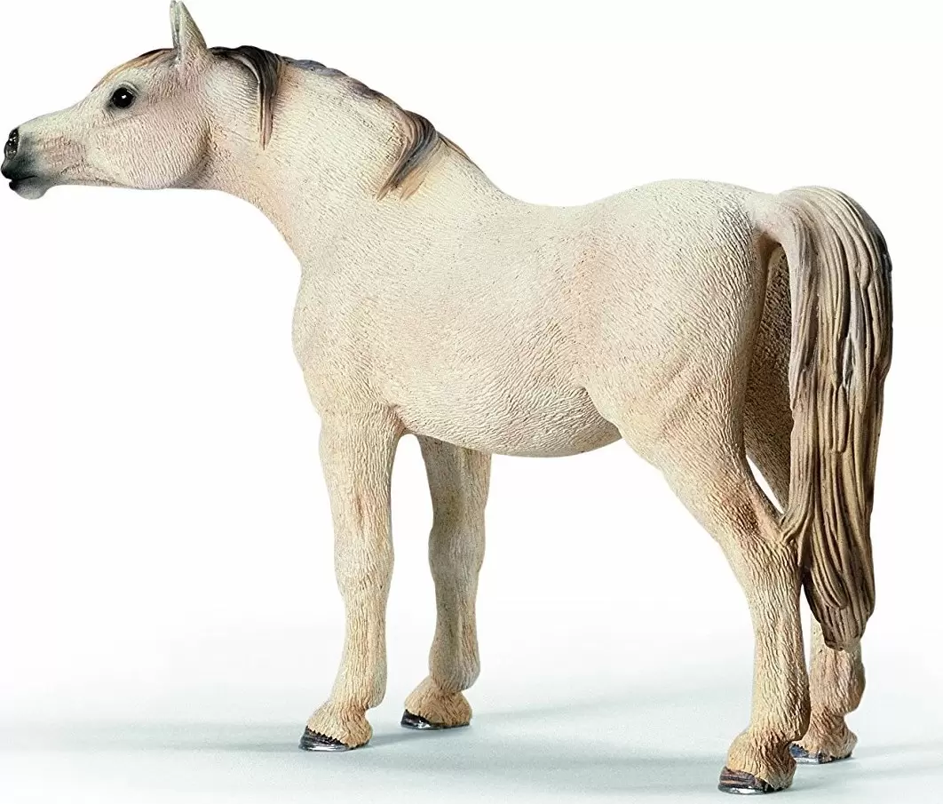 Horse Club - Jument arabe